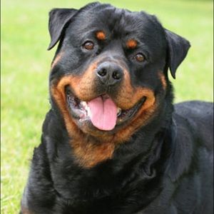 Meet your Posher, Scott